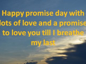 happy promise day status shayari quotes