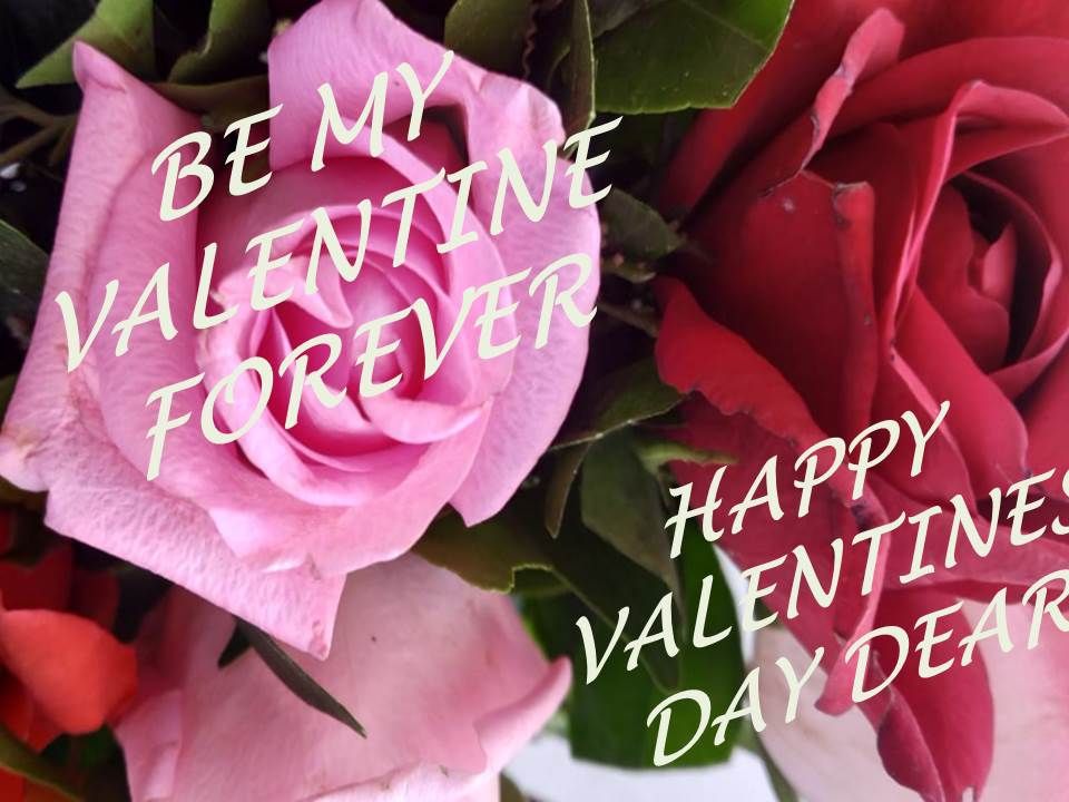 HAPPY VALENTINE DAY WISHES IMAGES