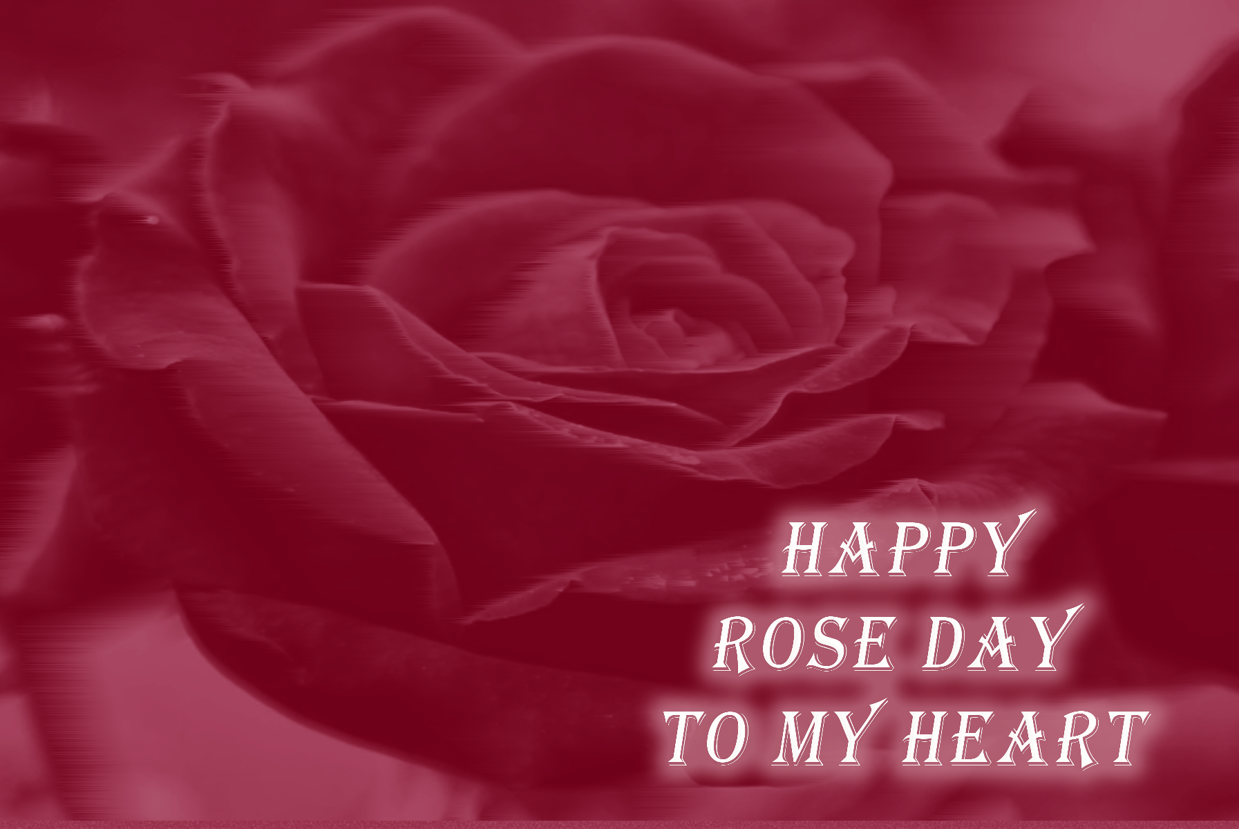 Rose Day Images with Quotes Happy Rose Day Wishes 2023