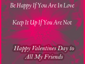 funny valentines day quotes for friends