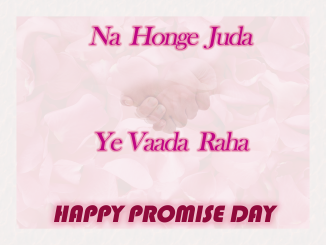 promise day shayari status