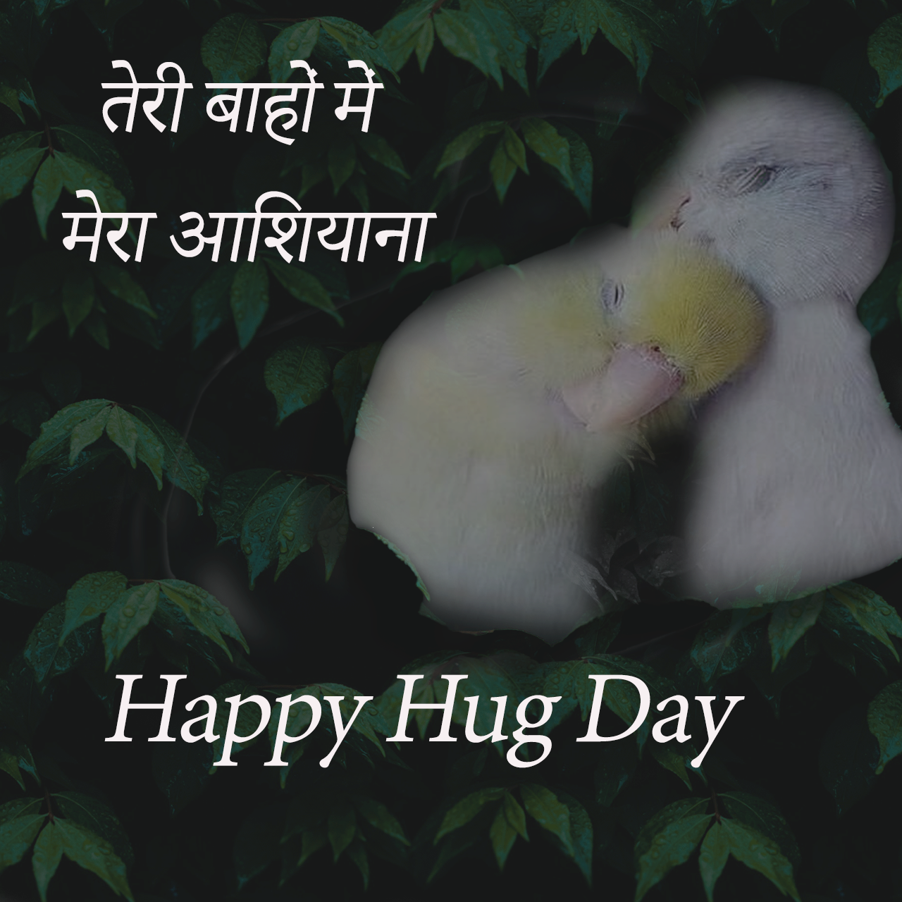 happy hug day images quotes in hindi