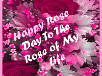 happy rose day images wishes